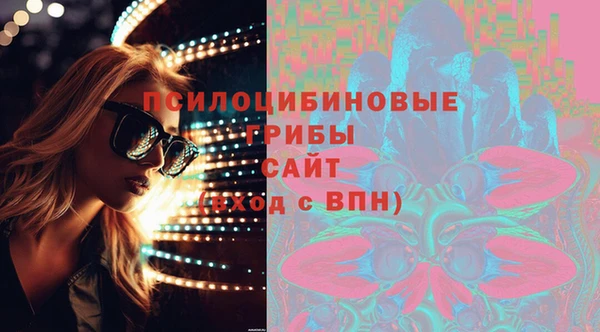 apvp Армянск