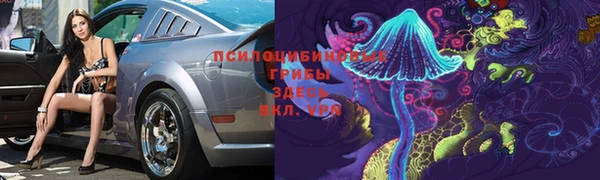apvp Армянск